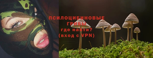 спиды Алексеевка