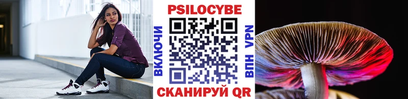Галлюциногенные грибы GOLDEN TEACHER где можно купить наркотик Кропоткин