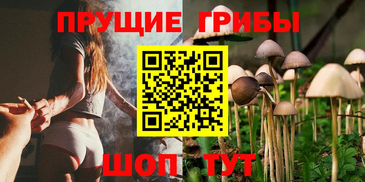Кропоткин  Псилоцибиновые грибы ЛСД  что такое наркотик  Вход с VPN 